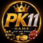 PK11 Game